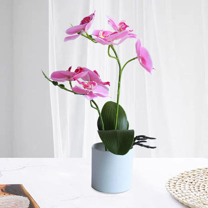 Artificial Orchid Flowers, 2 Pieces Potted Orchid Flowers with Plastic Vase for Table Centerpiece Home Decor Office Wedding Party Decoration