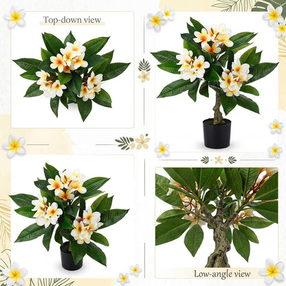 Riceshoot 2 Pack Artificial Plumeria Plants 23.62'' Fake Tropical Plumeria Flowers Tree Plants in Black Pot, Hawaiian Yellow Faux Frangipani Tree Plant for Home Office Wedding Decor