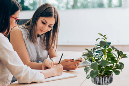 Fake Plants Artificial Indoor Succulents Home Office Decor | Artificial plants with rustic black clay planter ideal bathroom kitchen office farmhouse desk living room indoor decor