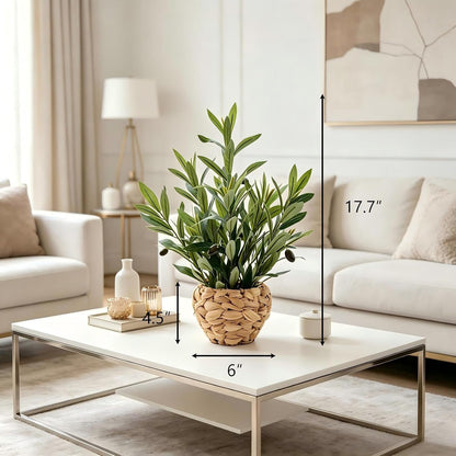 Fake Plants Artificial Indoor Succulents Home Office Decor | Artificial plants with rustic black clay planter ideal bathroom kitchen office farmhouse desk living room indoor decor
