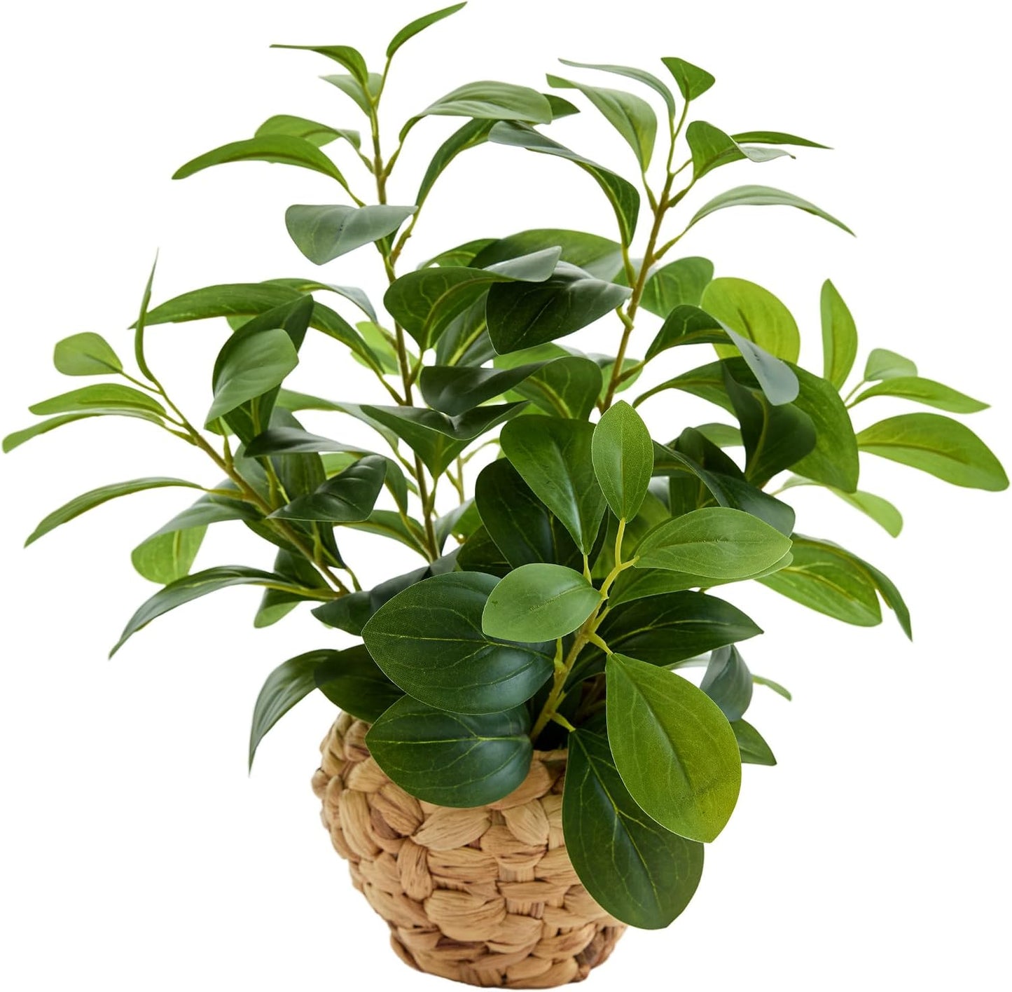Fake Plants Artificial Indoor Succulents Home Office Decor | Artificial plants with rustic black clay planter ideal bathroom kitchen office farmhouse desk living room indoor decor