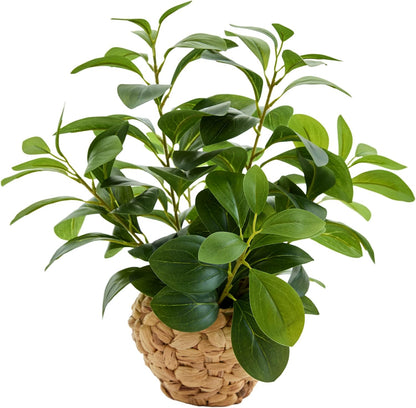Fake Plants Artificial Indoor Succulents Home Office Decor | Artificial plants with rustic black clay planter ideal bathroom kitchen office farmhouse desk living room indoor decor