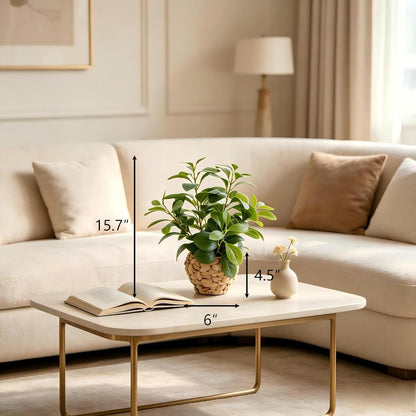 Fake Plants Artificial Indoor Succulents Home Office Decor | Artificial plants with rustic black clay planter ideal bathroom kitchen office farmhouse desk living room indoor decor