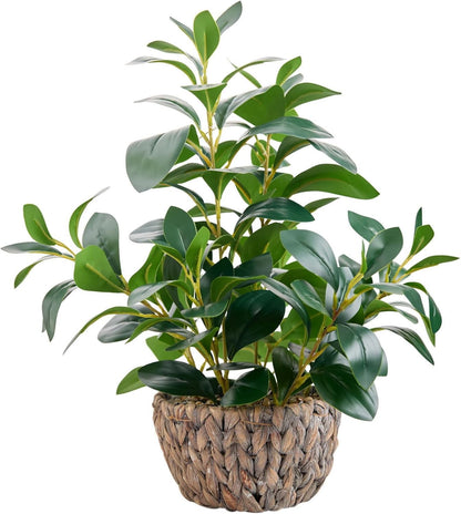 Fake Plants Artificial Indoor Succulents Home Office Decor | Artificial plants with rustic black clay planter ideal bathroom kitchen office farmhouse desk living room indoor decor