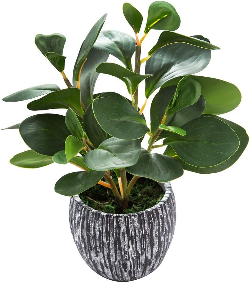 Fake Plants Artificial Indoor Succulents Home Office Decor | Artificial plants with rustic black clay planter ideal bathroom kitchen office farmhouse desk living room indoor decor