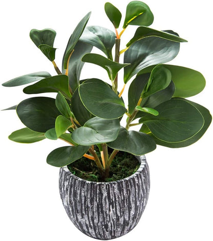 Fake Plants Artificial Indoor Succulents Home Office Decor | Artificial plants with rustic black clay planter ideal bathroom kitchen office farmhouse desk living room indoor decor