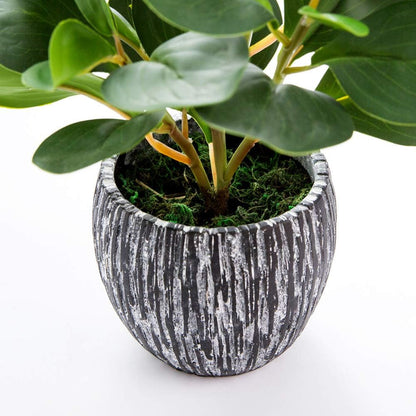 Fake Plants Artificial Indoor Succulents Home Office Decor | Artificial plants with rustic black clay planter ideal bathroom kitchen office farmhouse desk living room indoor decor