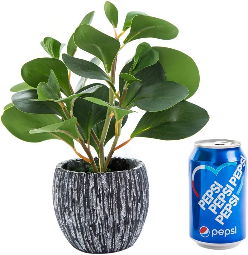 Fake Plants Artificial Indoor Succulents Home Office Decor | Artificial plants with rustic black clay planter ideal bathroom kitchen office farmhouse desk living room indoor decor