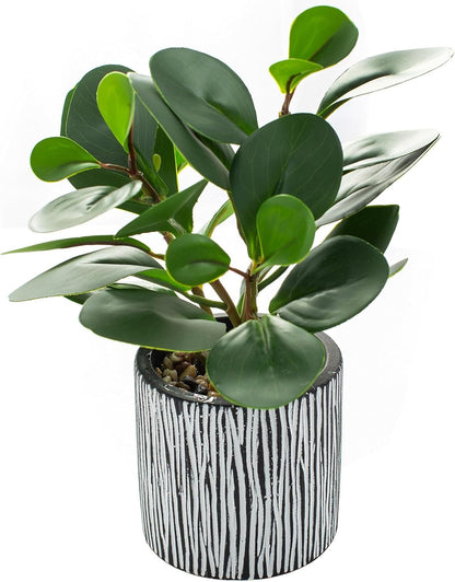 Fake Plants Artificial Indoor Succulents Home Office Decor | Artificial plants with rustic black clay planter ideal bathroom kitchen office farmhouse desk living room indoor decor