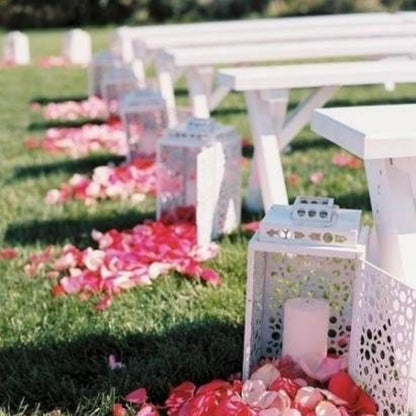 2200 PCS Dark-Red Silk Rose Petals for Romantic Night,Wedding,Proposal Anniversary Flower Decorations