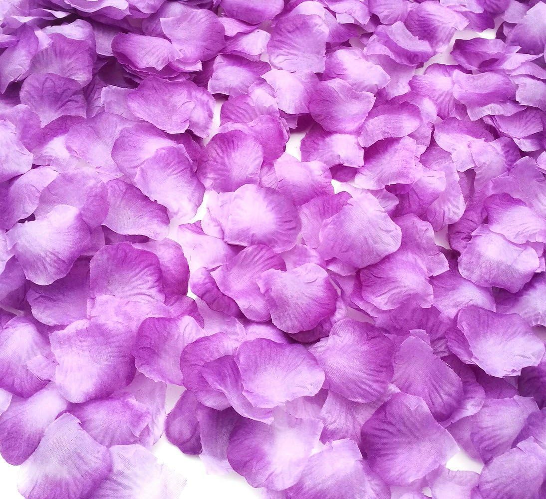 2200 PCS Dark-Red Silk Rose Petals for Romantic Night,Wedding,Proposal Anniversary Flower Decorations