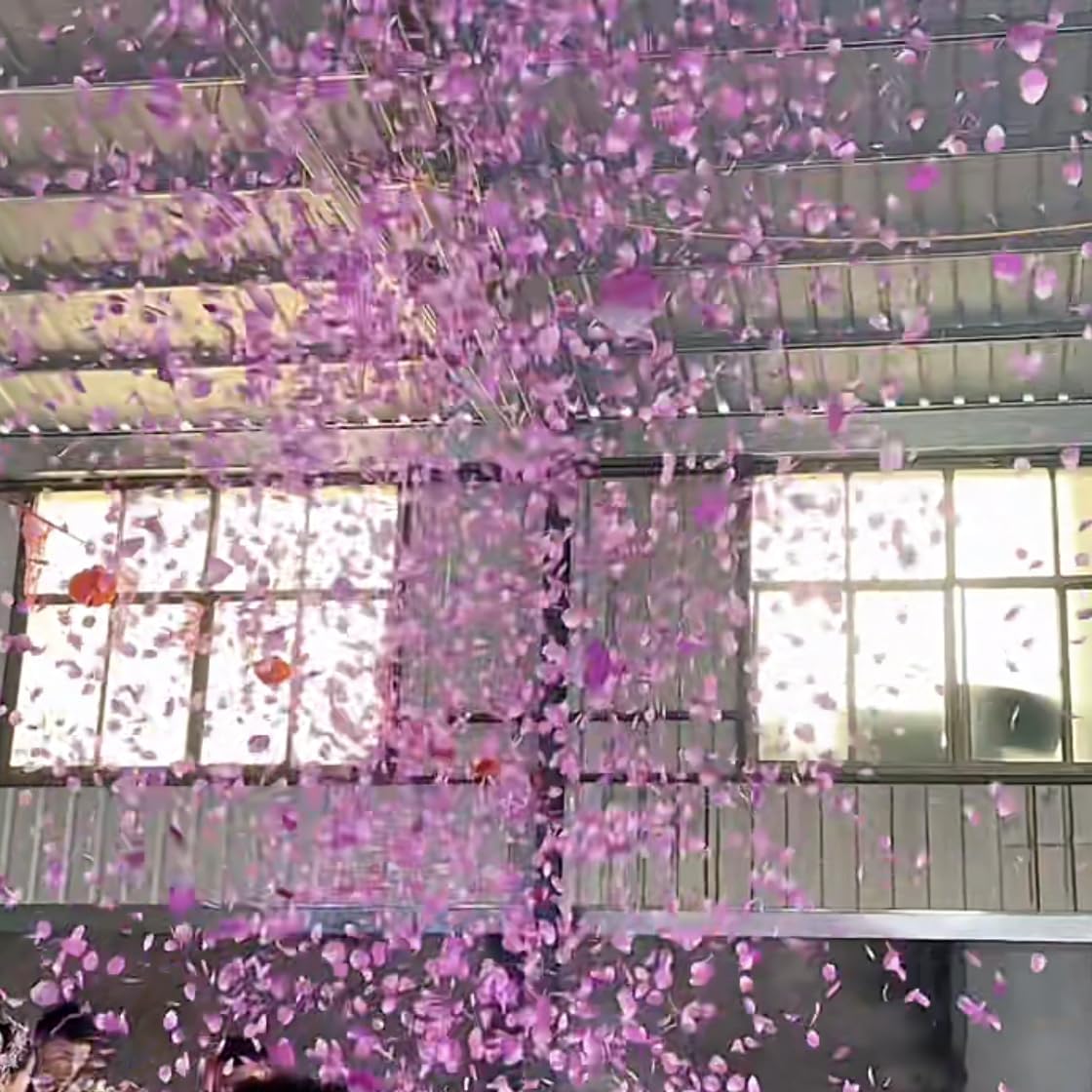 2200 PCS Dark-Red Silk Rose Petals for Romantic Night,Wedding,Proposal Anniversary Flower Decorations
