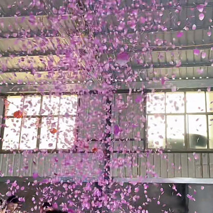 2200 PCS Dark-Red Silk Rose Petals for Romantic Night,Wedding,Proposal Anniversary Flower Decorations