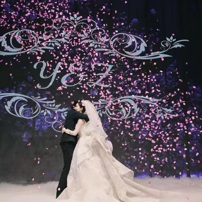 2200 PCS Dark-Red Silk Rose Petals for Romantic Night,Wedding,Proposal Anniversary Flower Decorations