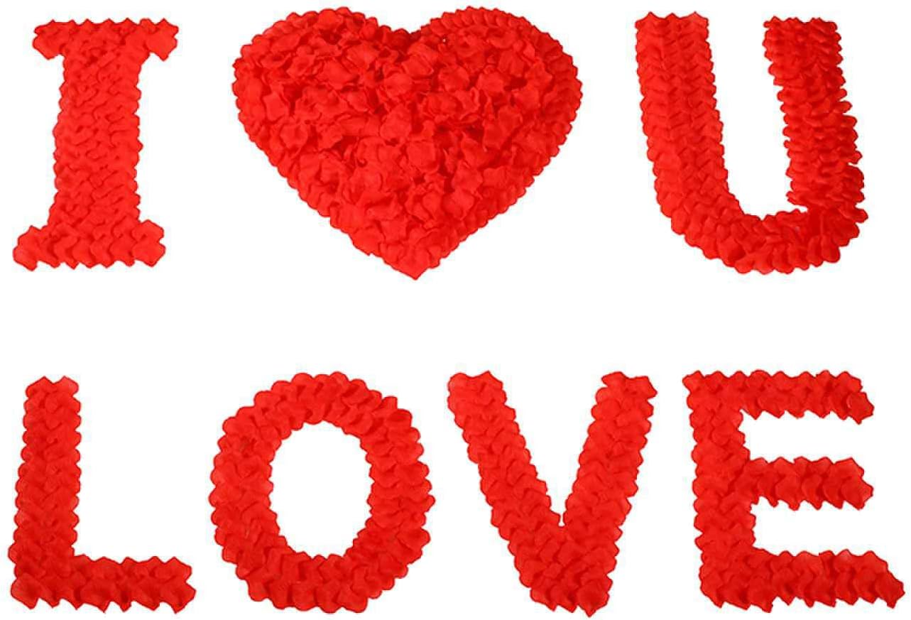 2200 PCS Dark-Red Silk Rose Petals for Romantic Night,Wedding,Proposal Anniversary Flower Decorations