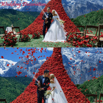 2200 PCS Dark-Red Silk Rose Petals for Romantic Night,Wedding,Proposal Anniversary Flower Decorations