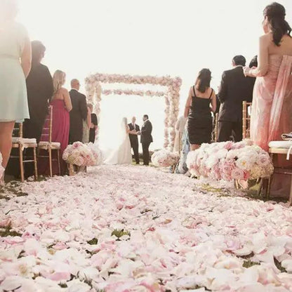 2200 PCS Dark-Red Silk Rose Petals for Romantic Night,Wedding,Proposal Anniversary Flower Decorations