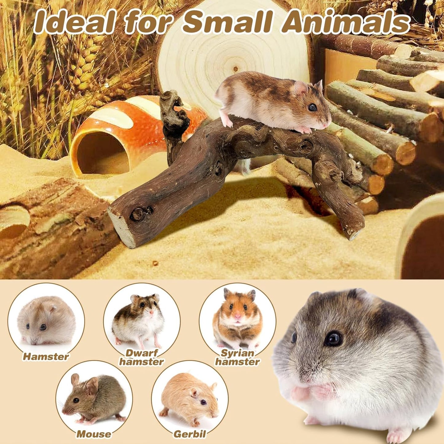 2 PCS Wooden Hamster Climbing Branches 5.9 in Natural Grapevine Syrian Hamster Chewing Toys Small Animal Habitat Decor Accessories for Gerbils Mice Rat and Dwarf Pets