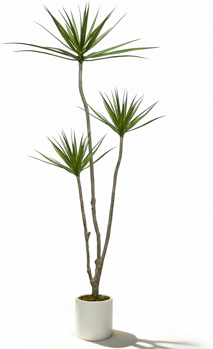 Dracaena Marginata Artificial Plant 6ft Tall Fake Tree Indoor Home | Premium Realistic Leaves & Natural Wood-Like Trunk, Faux Dracaena Tree Floor Plant in Decorative Pot, No Maintenance