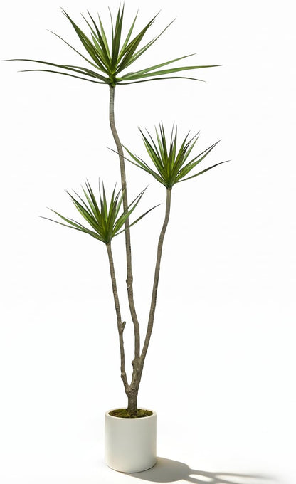 Dracaena Marginata Artificial Plant 6ft Tall Fake Tree Indoor Home | Premium Realistic Leaves & Natural Wood-Like Trunk, Faux Dracaena Tree Floor Plant in Decorative Pot, No Maintenance