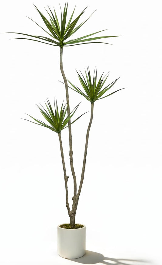 Dracaena Marginata Artificial Plant 6ft Tall Fake Tree Indoor Home | Premium Realistic Leaves & Natural Wood-Like Trunk, Faux Dracaena Tree Floor Plant in Decorative Pot, No Maintenance