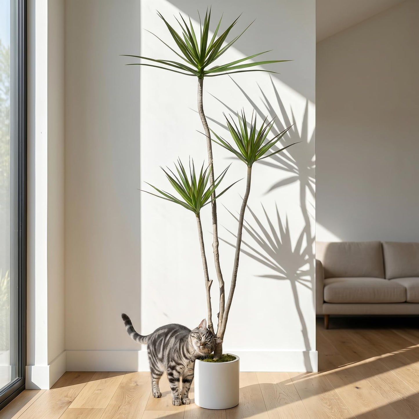 Dracaena Marginata Artificial Plant 6ft Tall Fake Tree Indoor Home | Premium Realistic Leaves & Natural Wood-Like Trunk, Faux Dracaena Tree Floor Plant in Decorative Pot, No Maintenance