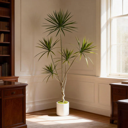 Dracaena Marginata Artificial Plant 6ft Tall Fake Tree Indoor Home | Premium Realistic Leaves & Natural Wood-Like Trunk, Faux Dracaena Tree Floor Plant in Decorative Pot, No Maintenance