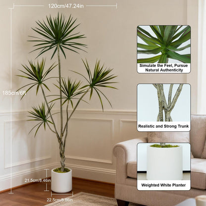 Dracaena Marginata Artificial Plant 6ft Tall Fake Tree Indoor Home | Premium Realistic Leaves & Natural Wood-Like Trunk, Faux Dracaena Tree Floor Plant in Decorative Pot, No Maintenance