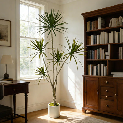 Dracaena Marginata Artificial Plant 6ft Tall Fake Tree Indoor Home | Premium Realistic Leaves & Natural Wood-Like Trunk, Faux Dracaena Tree Floor Plant in Decorative Pot, No Maintenance