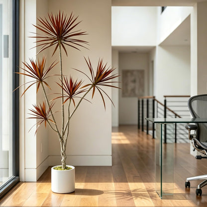 Dracaena Marginata Artificial Plant 6ft Tall Fake Tree Indoor Home | Premium Realistic Leaves & Natural Wood-Like Trunk, Faux Dracaena Tree Floor Plant in Decorative Pot, No Maintenance