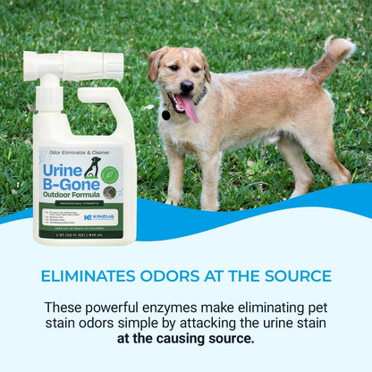 OD Professional Pet Urine Enzyme Cleaner, Pet Yard Odor Eliminator for Artificial Grass, Concrete & More, 1 Gallon