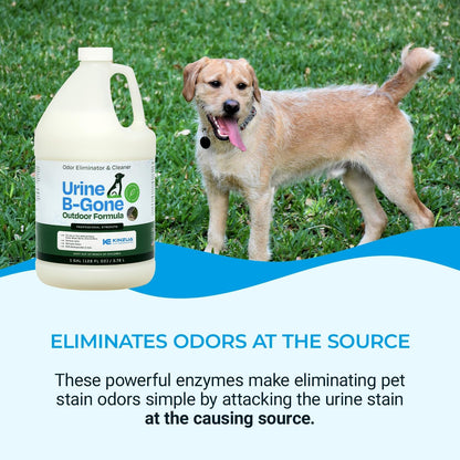 OD Professional Pet Urine Enzyme Cleaner, Pet Yard Odor Eliminator for Artificial Grass, Concrete & More, 1 Gallon