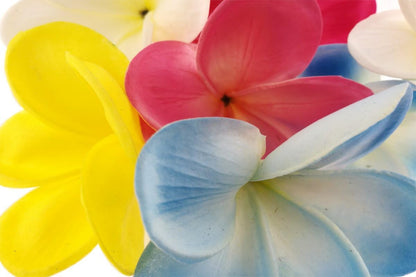 Bunch of 10 PU Real Touch Lifelike Artificial Plumeria Frangipani Flower Bouquets Fake Wedding Cake Home Party Decoration (White)