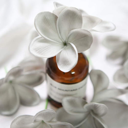 Bunch of 10 PU Real Touch Lifelike Artificial Plumeria Frangipani Flower Bouquets Fake Wedding Cake Home Party Decoration (White)