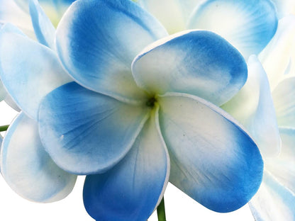 Bunch of 10 PU Real Touch Lifelike Artificial Plumeria Frangipani Flower Bouquets Fake Wedding Cake Home Party Decoration (White)