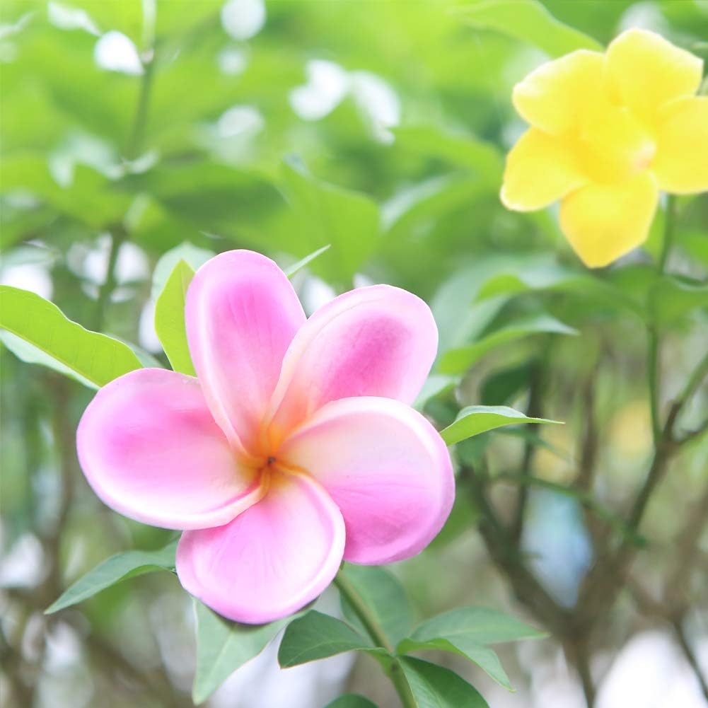 Bunch of 10 PU Real Touch Lifelike Artificial Plumeria Frangipani Flower Bouquets Fake Wedding Cake Home Party Decoration (White)