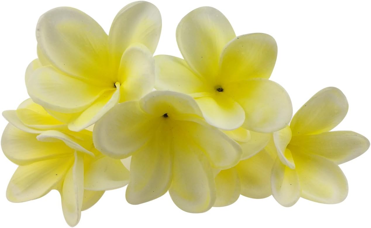 Bunch of 10 PU Real Touch Lifelike Artificial Plumeria Frangipani Flower Bouquets Fake Wedding Cake Home Party Decoration (White)