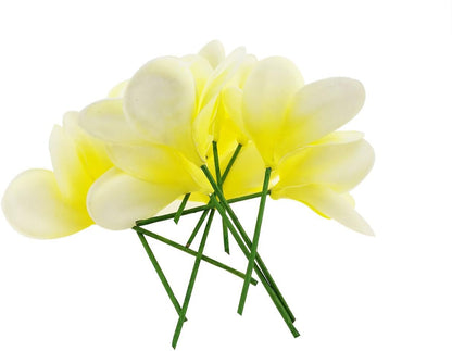 Bunch of 10 PU Real Touch Lifelike Artificial Plumeria Frangipani Flower Bouquets Fake Wedding Cake Home Party Decoration (White)