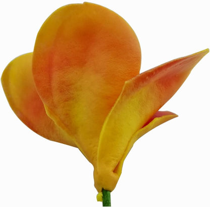 Bunch of 10 PU Real Touch Lifelike Artificial Plumeria Frangipani Flower Bouquets Fake Wedding Cake Home Party Decoration (White)