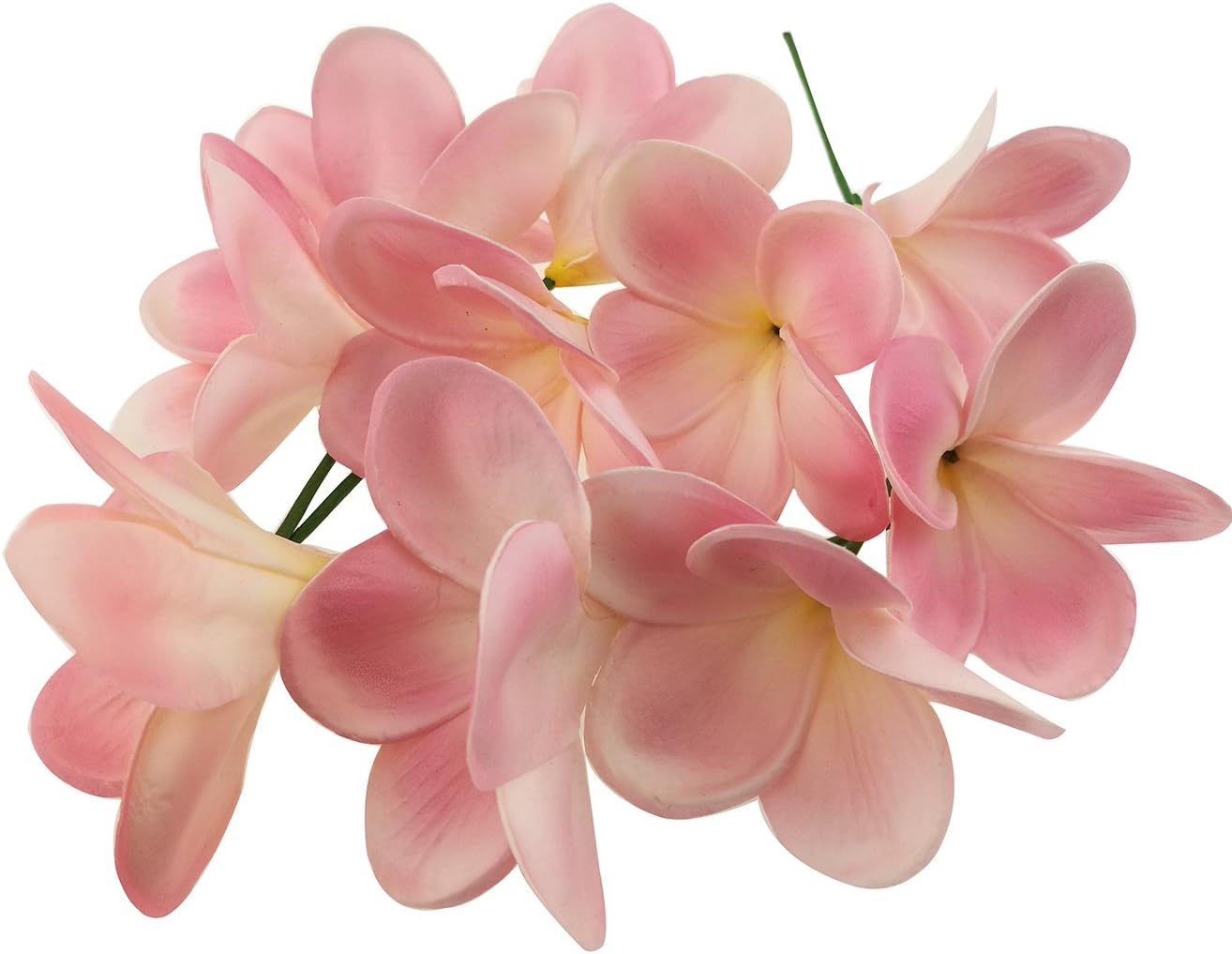 Bunch of 10 PU Real Touch Lifelike Artificial Plumeria Frangipani Flower Bouquets Fake Wedding Cake Home Party Decoration (White)