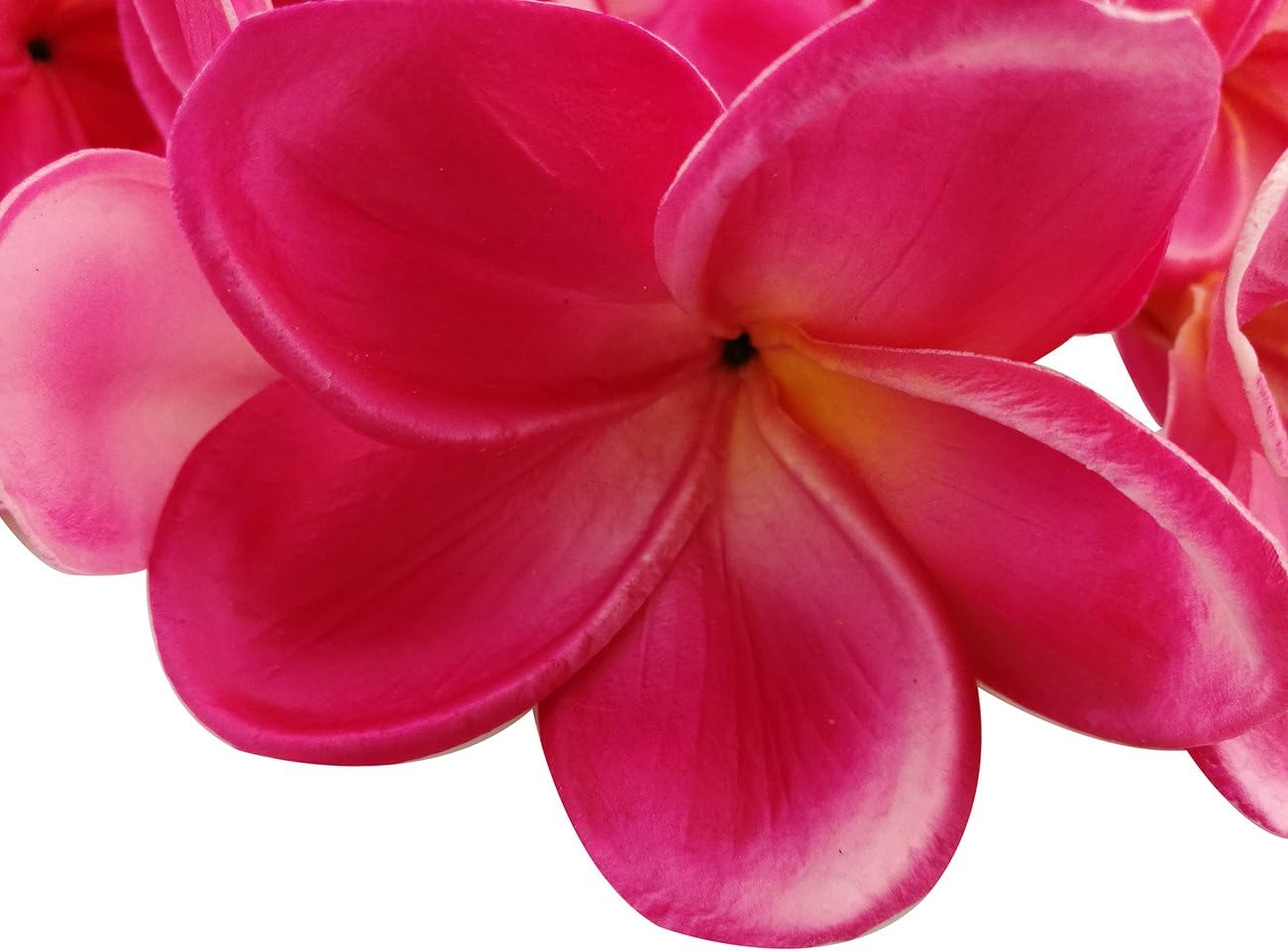 Bunch of 10 PU Real Touch Lifelike Artificial Plumeria Frangipani Flower Bouquets Fake Wedding Cake Home Party Decoration (White)