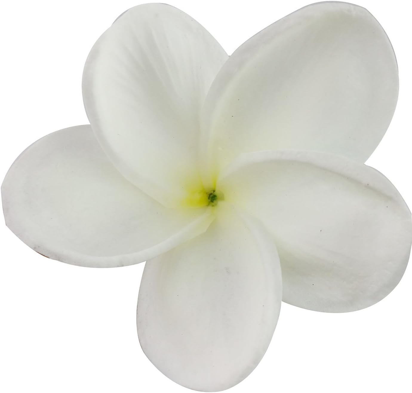 Bunch of 10 PU Real Touch Lifelike Artificial Plumeria Frangipani Flower Bouquets Fake Wedding Cake Home Party Decoration (White)