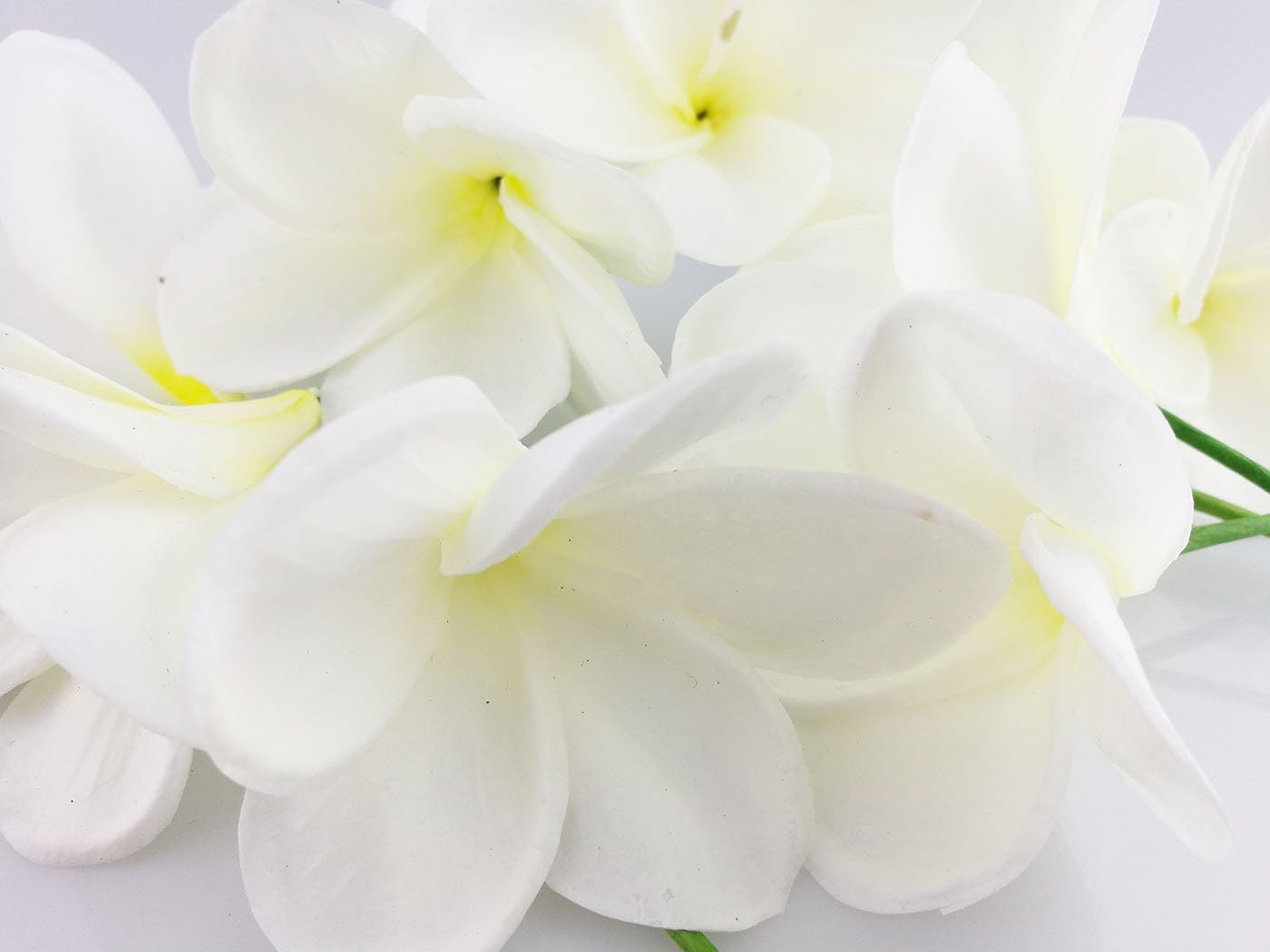 Bunch of 10 PU Real Touch Lifelike Artificial Plumeria Frangipani Flower Bouquets Fake Wedding Cake Home Party Decoration (White)