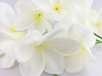 Bunch of 10 PU Real Touch Lifelike Artificial Plumeria Frangipani Flower Bouquets Fake Wedding Cake Home Party Decoration (White)