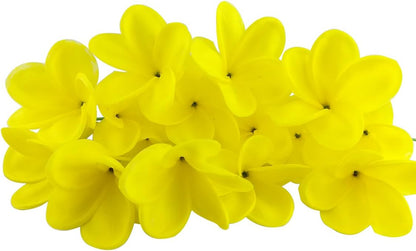 Bunch of 10 PU Real Touch Lifelike Artificial Plumeria Frangipani Flower Bouquets Fake Wedding Cake Home Party Decoration (White)