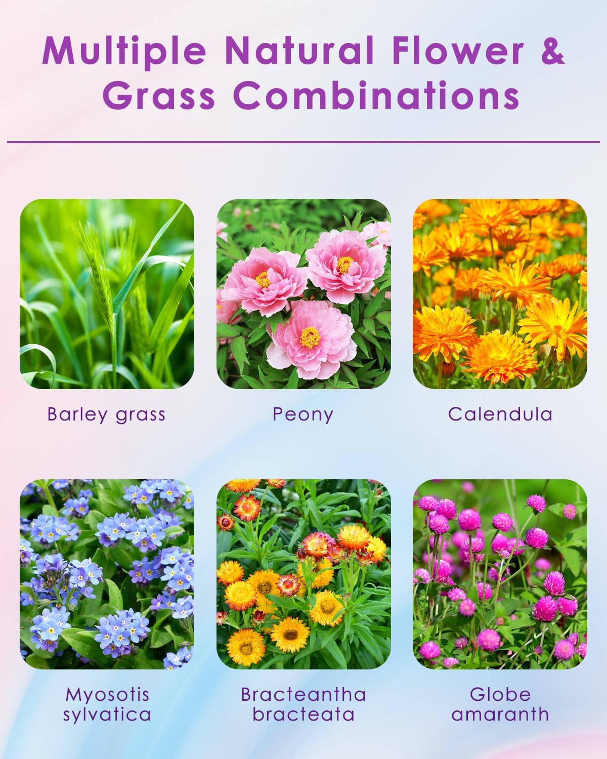 Natural Flower & Herb Hamster Bedding 300g/10.5oz, Small Animal Flower Habitat Decor for Syrian Dwarf Hamster Gerbil Chinchilla Mice Degu and Other Small Pet Flower Bedding Odor Control Forage
