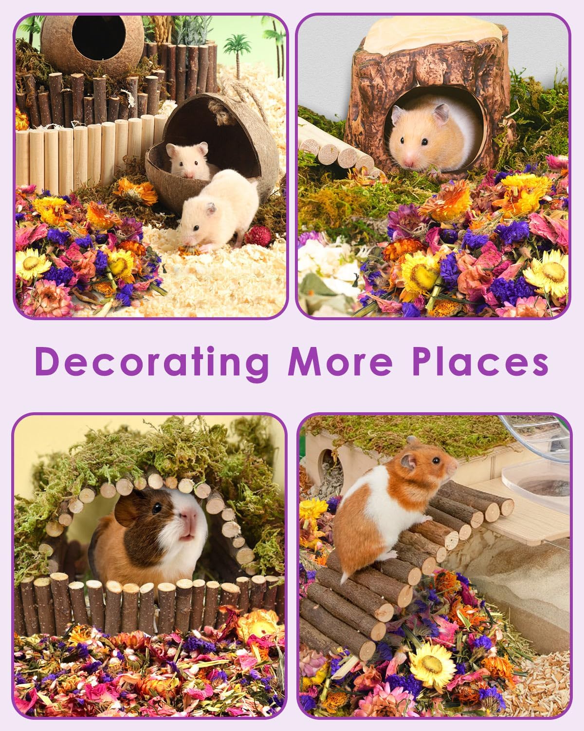Natural Flower & Herb Hamster Bedding 300g/10.5oz, Small Animal Flower Habitat Decor for Syrian Dwarf Hamster Gerbil Chinchilla Mice Degu and Other Small Pet Flower Bedding Odor Control Forage