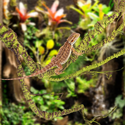 Flexible Bend-A-Branch Jungle Vines Pet Habitat Decor Reptile Plants Terrarium for Lizard, Frogs, Snakes and More Reptiles Climbing (Fat: 43.31 x 0.79 Inch)