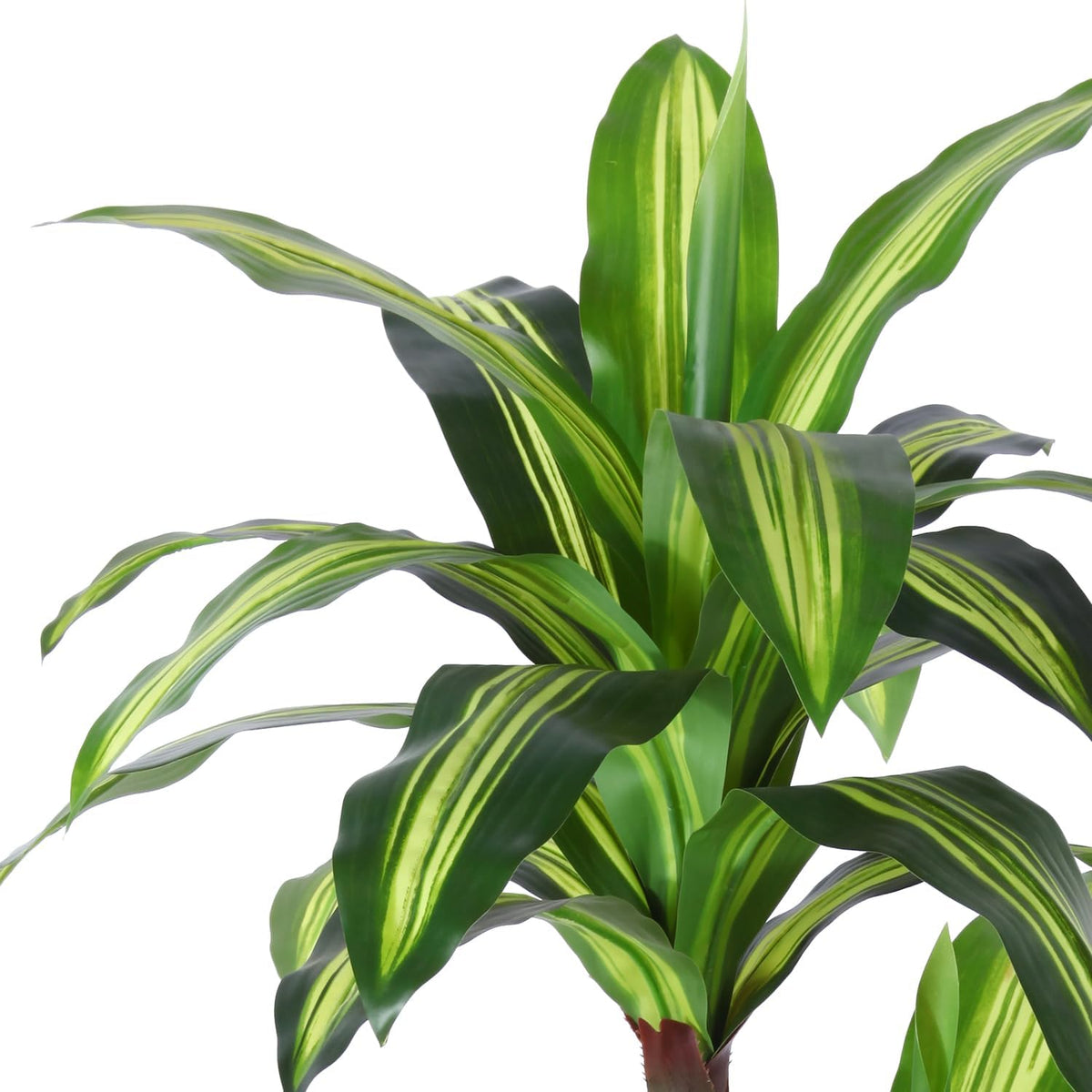 5 Ft Artificial Dracaena Tree，Faux Plants Indoor with Basket