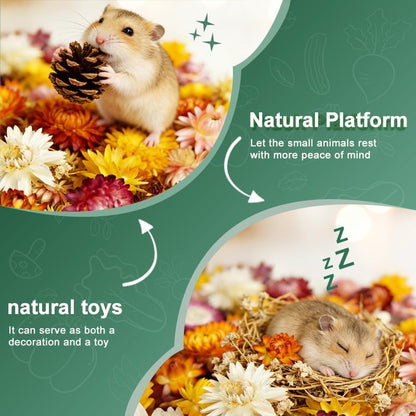 Natural Pet Nest Decorations for Small Pets, Hamster & Rabbit Chew Toys Set with Dried Flowers, Apple Sticks & Pine Cones, Pet-Friendly, Helps Adapt to New Environment & Relieve Stress